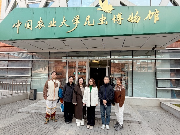 1763368454645295.png 图片49.png